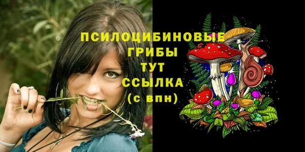 альфа пвп Приозерск