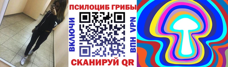 Галлюциногенные грибы GOLDEN TEACHER  купить наркотики сайты  KRAKEN онион  Жердевка 